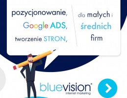 Blue Vision Internet Marketing [-15% z kartą] 