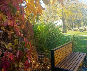 Park Stare Babice