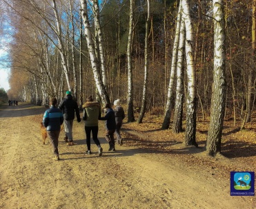 Dobre miejsce na spacery Łosiowe Błota - Latchorzew 