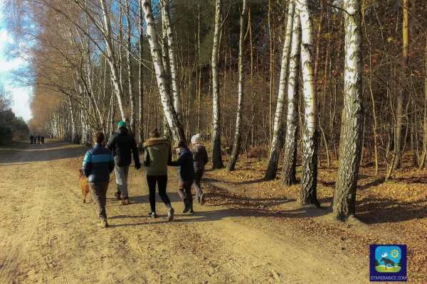 Dobre miejsce na spacery Łosiowe Błota - Latchorzew 