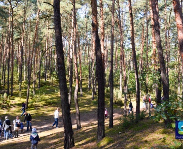 Kampinos