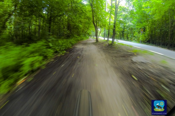 ścieżki rowerowe w Łosiowych Błotach - Janów